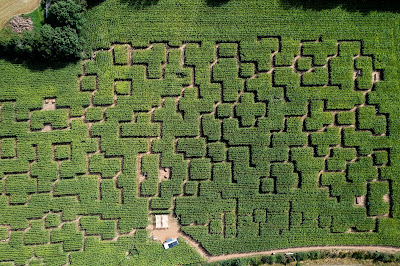 Pop Corn Labyrinthe PRADES - Labyrinthe Géant de Maïs à Prades-Salars