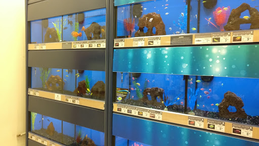 Pet Supply Store «Petco Animal Supplies», reviews and photos, 1591 Sloat Blvd, San Francisco, CA 94132, USA