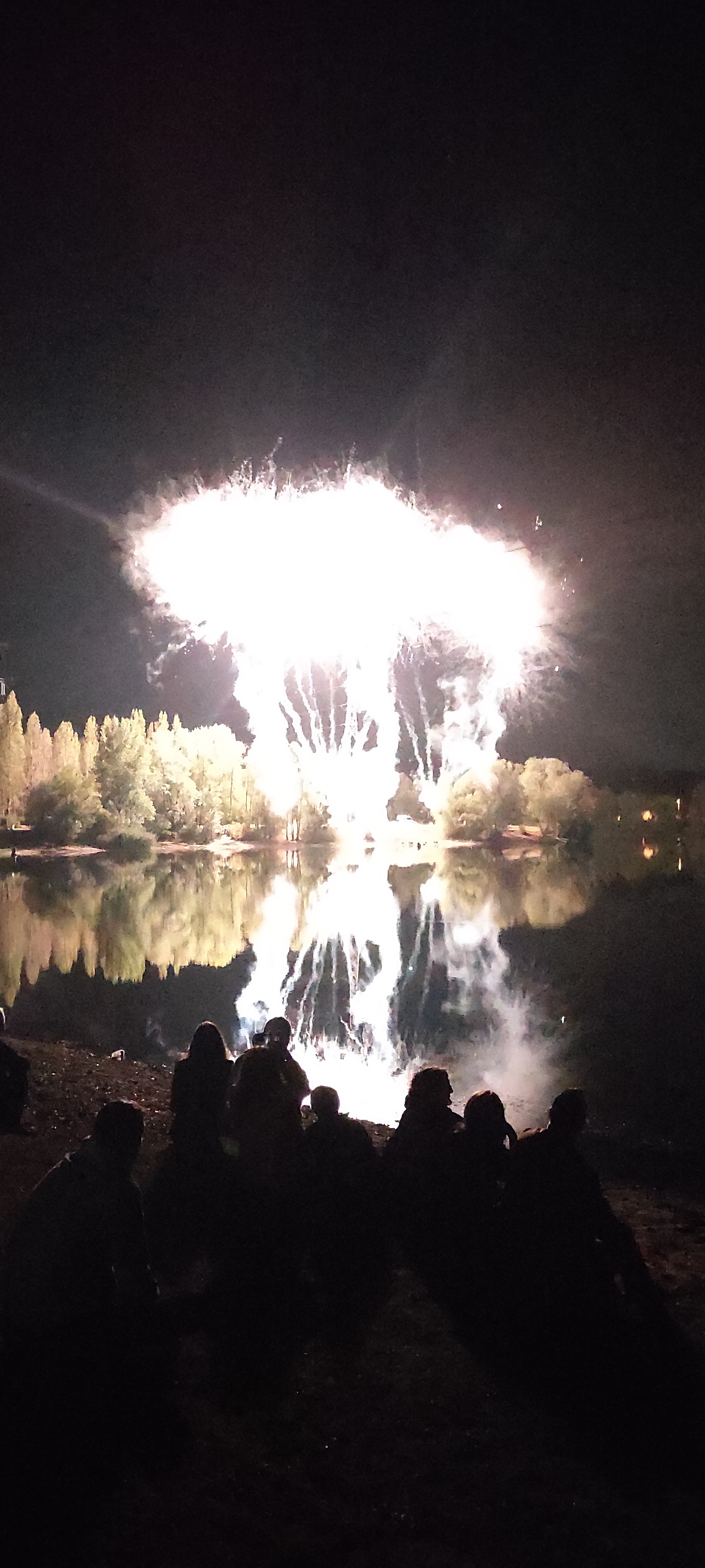 Photo n° 1 de l'avis de sawvage. fait le 05/11/2018 à 20:19