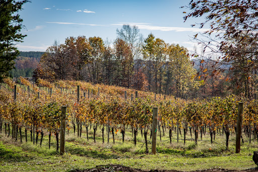 Winery «Overmountain Vineyards», reviews and photos, 2014 Sandy Plains Rd, Tryon, NC 28782, USA