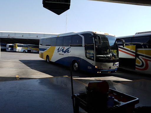 Bus Tour Puebla