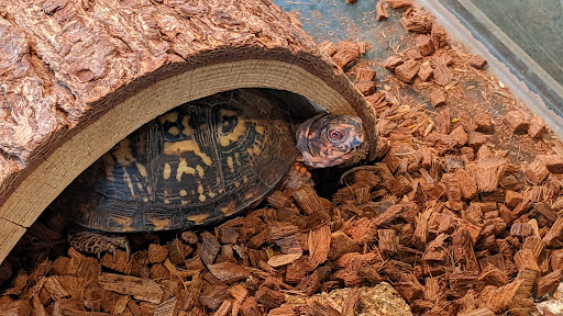 Nature Preserve «Nature Center of Cape May», reviews and photos, 1600 Delaware Ave, Cape May, NJ 08204, USA