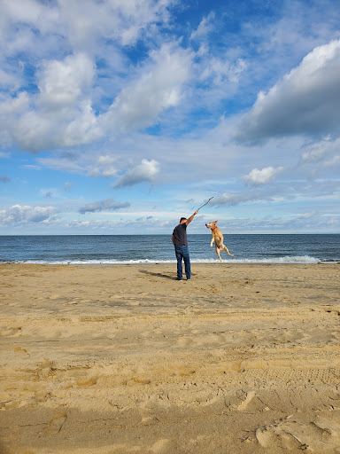 Moving and Storage Service «Big Man Movers», reviews and photos, 10749 Sunrise Terrace Dr, Orlando, FL 32825, USA