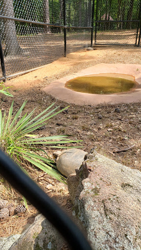 Non-Profit Organization «Dauset Trails Nature Center», reviews and photos, 360 Mt Vernon Church Rd, Jackson, GA 30233, USA