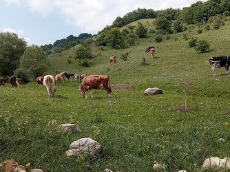 🐂DAĞDAŞ ÇİFTLİK🐂