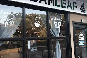 Urban Leaf Cafe image