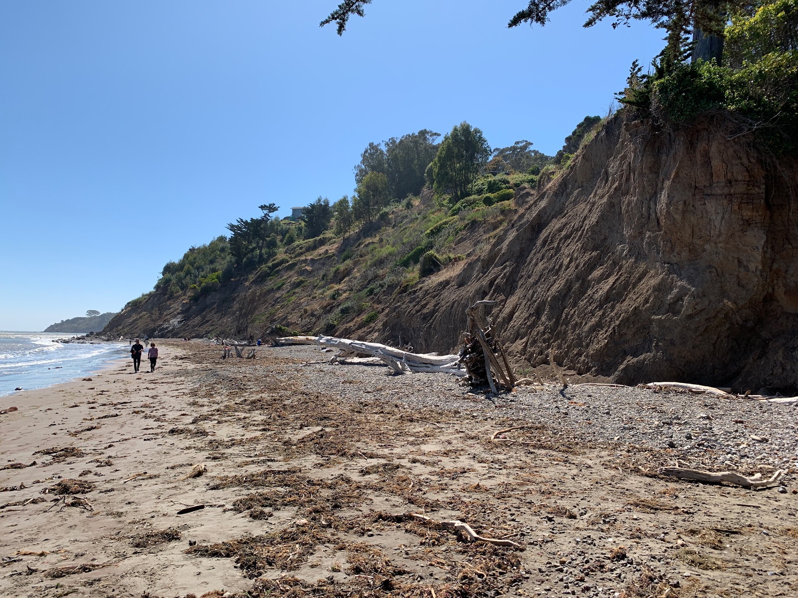 Foto von Bolinas Beach mit teilweise sauber Sauberkeitsgrad