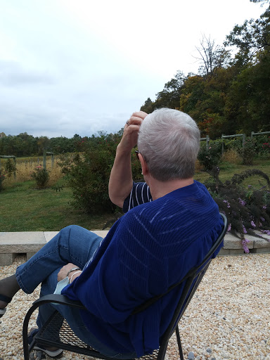 Winery «Red Heifer Winery», reviews and photos, 12840 Red Heifer Winery Lane, Smithsburg, MD 21783, USA