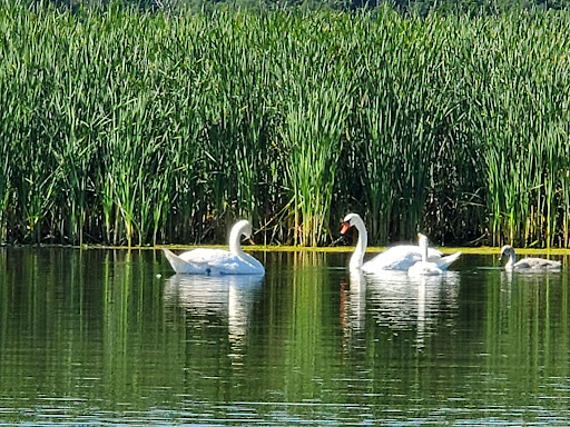 Canoe & Kayak Store «BayCreek Paddling Center, Inc.», reviews and photos, 1099 Empire Blvd, Rochester, NY 14609, USA