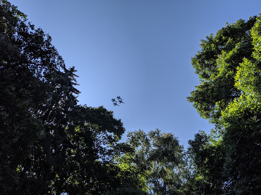 Park «Madrona Park», reviews and photos, 853 Lake Washington Blvd, Seattle, WA 98122, USA