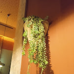 Photo n°4 de l'avis de Xavi. fait le 12/02/2024 à 08:44 sur le  M’arrecreo Pizzeria à Lisbon