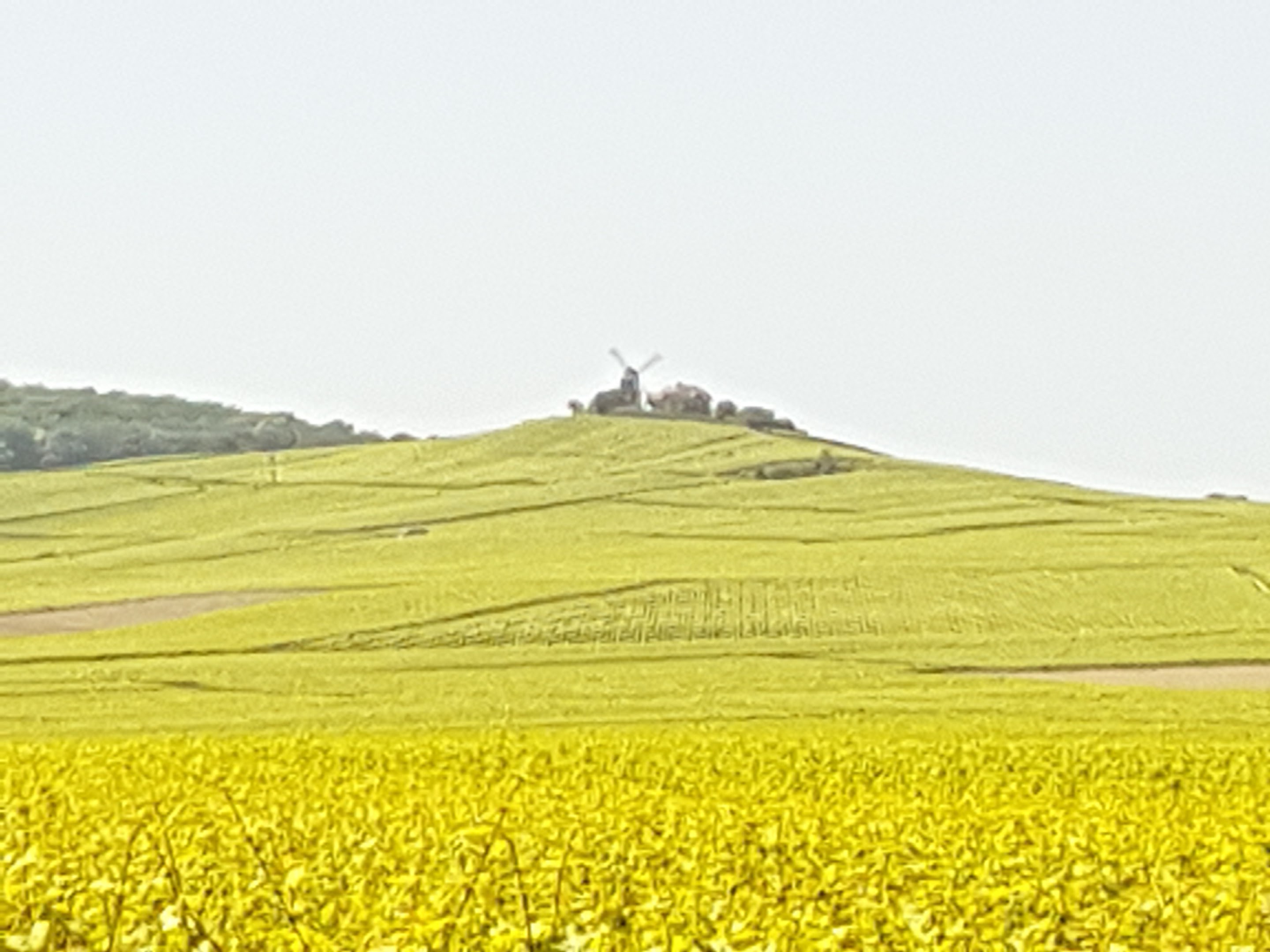 Photo n° 3 de l'avis de seb.e fait le 09/08/2018 à 11:43