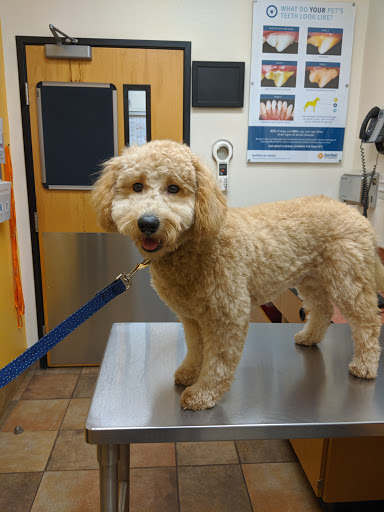 Pet Supply Store «PetSmart», reviews and photos, 367 Mt Hope Ave, Rockaway, NJ 07866, USA