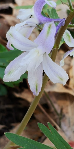 Park «Harrods Creek Park», reviews and photos, 6530 Montero Dr, Prospect, KY 40059, USA