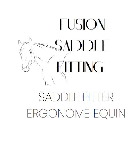 Magasin d'équitation Fusion Saddle Fitting Rouffach