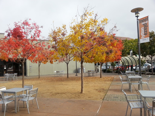 Furniture Store «west elm», reviews and photos, 180 University Ave, Palo Alto, CA 94301, USA