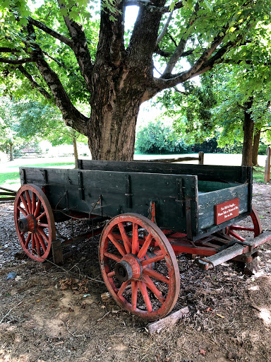 Historical Wagon