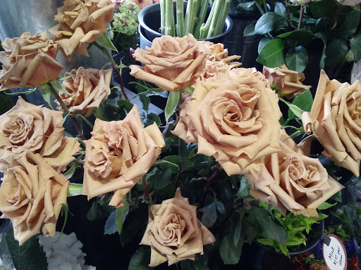 Grocery Store «New Seasons Market Mountain Park», reviews and photos, 3 Monroe Pkwy, Lake Oswego, OR 97035, USA