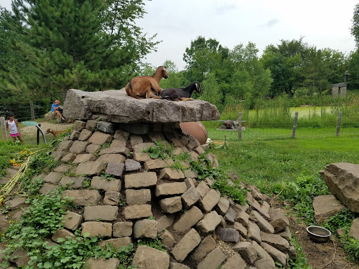 Golf Club «Big Stone Mini Golf», reviews and photos, 7110 County Rd 110 W, Minnetrista, MN 55364, USA