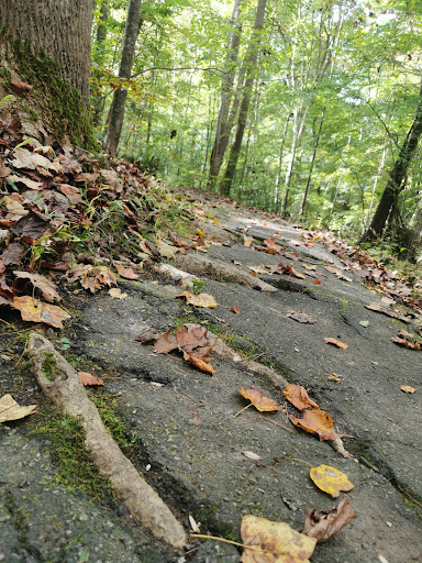 Park «Brookhaven Nature Park», reviews and photos, 5125 Berkeley St, Raleigh, NC 27612, USA