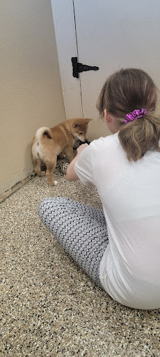 Pet Supply Store «Pet Ranch», reviews and photos, 3823 E 120th Ave, Denver, CO 80233, USA