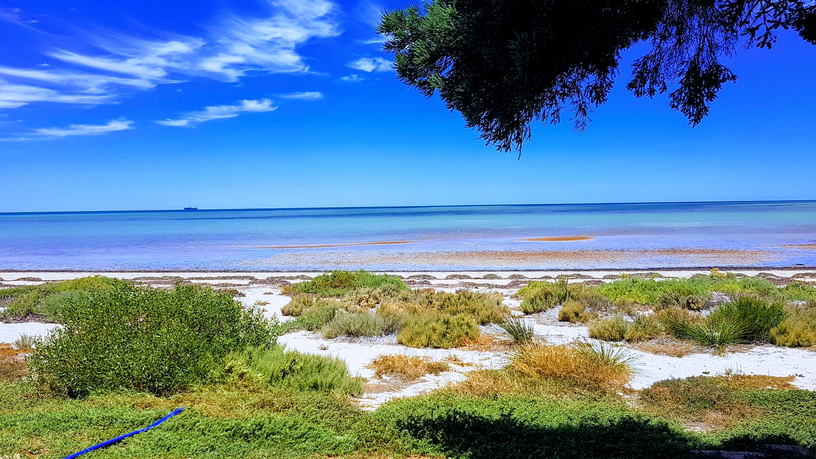 Foto di Whyalla Beach - luogo popolare tra gli intenditori del relax