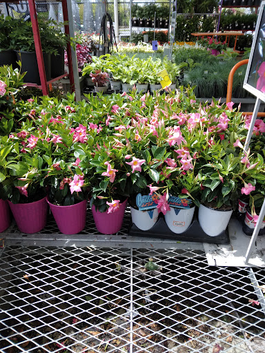 Home Improvement Store «The Home Depot», reviews and photos, 4200 Derry St, Swatara, PA 17111, USA