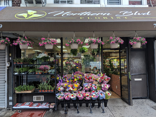 Northern Blvd. Florist, 82-09 Northern Blvd, Jackson Heights, NY 11372, USA, 