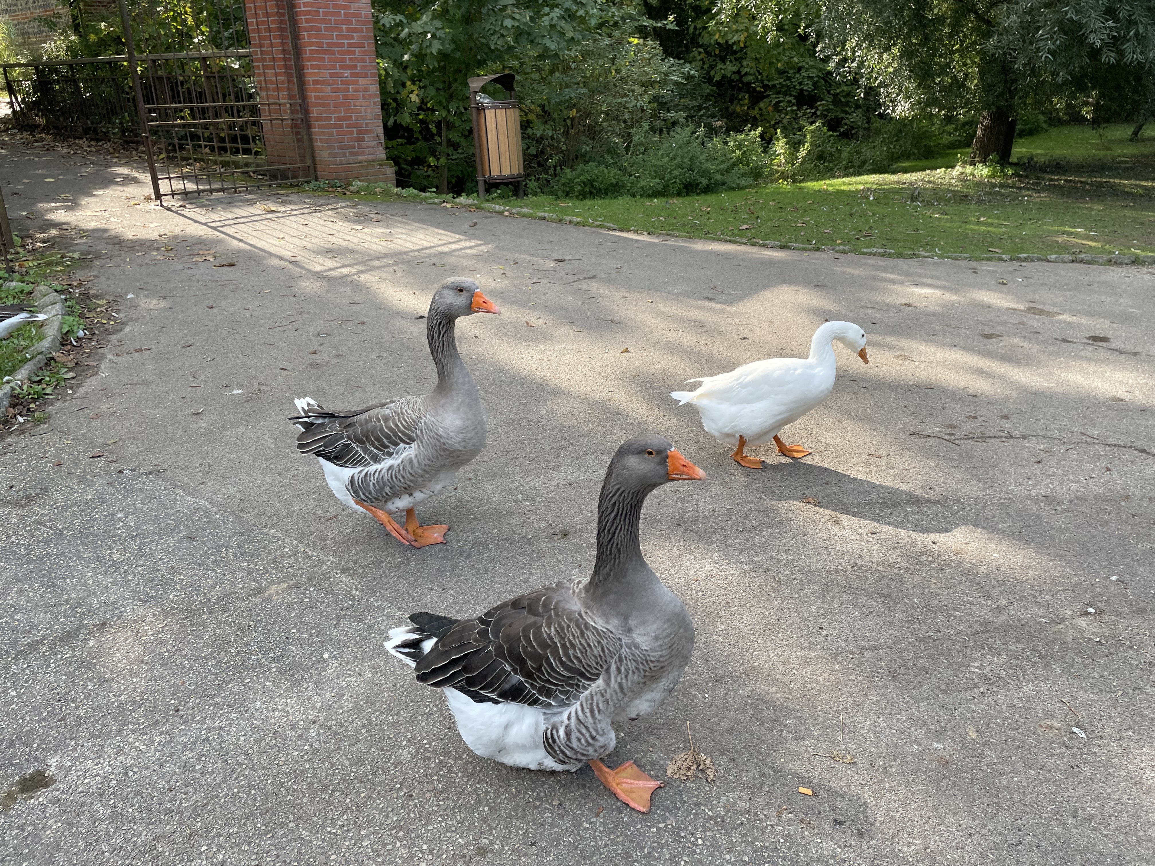 Photo n° 3 de l'avis de Matthieu.6 fait le 13/06/2019 à 07:06