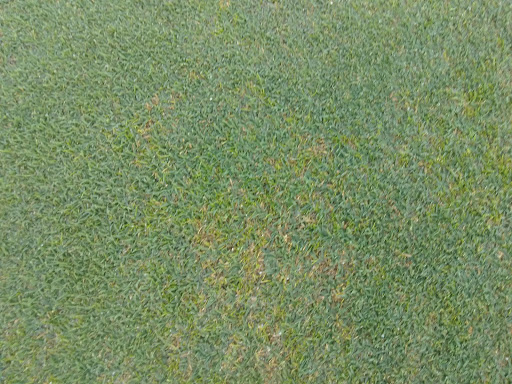 Golf Club «The River Club», reviews and photos, 6600 River Club Blvd, Bradenton, FL 34202, USA