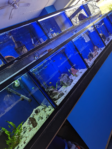 Pet Store «Coral Reef Pet Center», reviews and photos, 7723 W Lawrence Ave, Norridge, IL 60706, USA