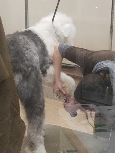 Pet Supply Store «Petco Animal Supplies», reviews and photos, 86 Storrs Rd, Mansfield Center, CT 06250, USA