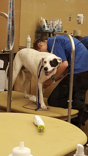 Pet Supply Store «PetSmart», reviews and photos, 131 Highlands Blvd Dr, Manchester, MO 63011, USA