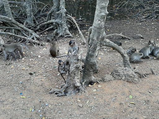 Top 20 cửa hàng play Huyện Cần Giờ Hồ Chí Minh 2022