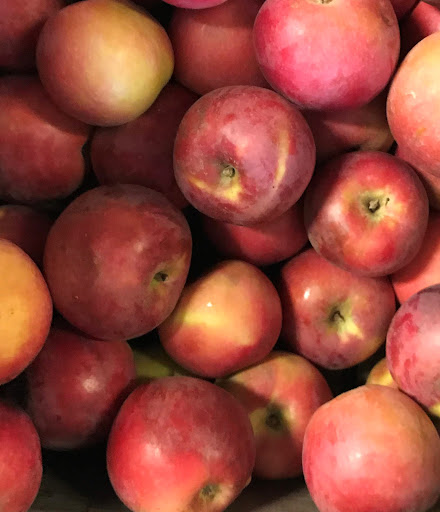 Produce Market «B&P Hitz Fruit Farm (Apples N Produce)», reviews and photos, 14070 Wilco Hwy NE, Woodburn, OR 97071, USA