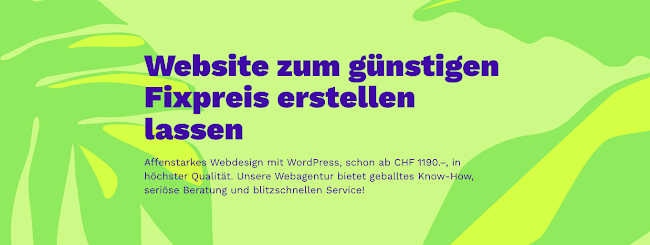Website Monkey – Webagentur - Webdesigner