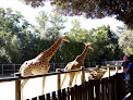 Zoo des Sables d'Olonne Les Sables-d'Olonne