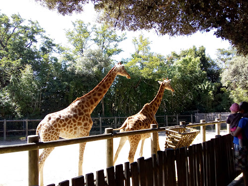 Zoo des Sables d'Olonne à Les Sables-d'Olonne