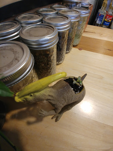 Coffee Shop «Recess Coffee», reviews and photos, 110 Montgomery St #103, Syracuse, NY 13202, USA