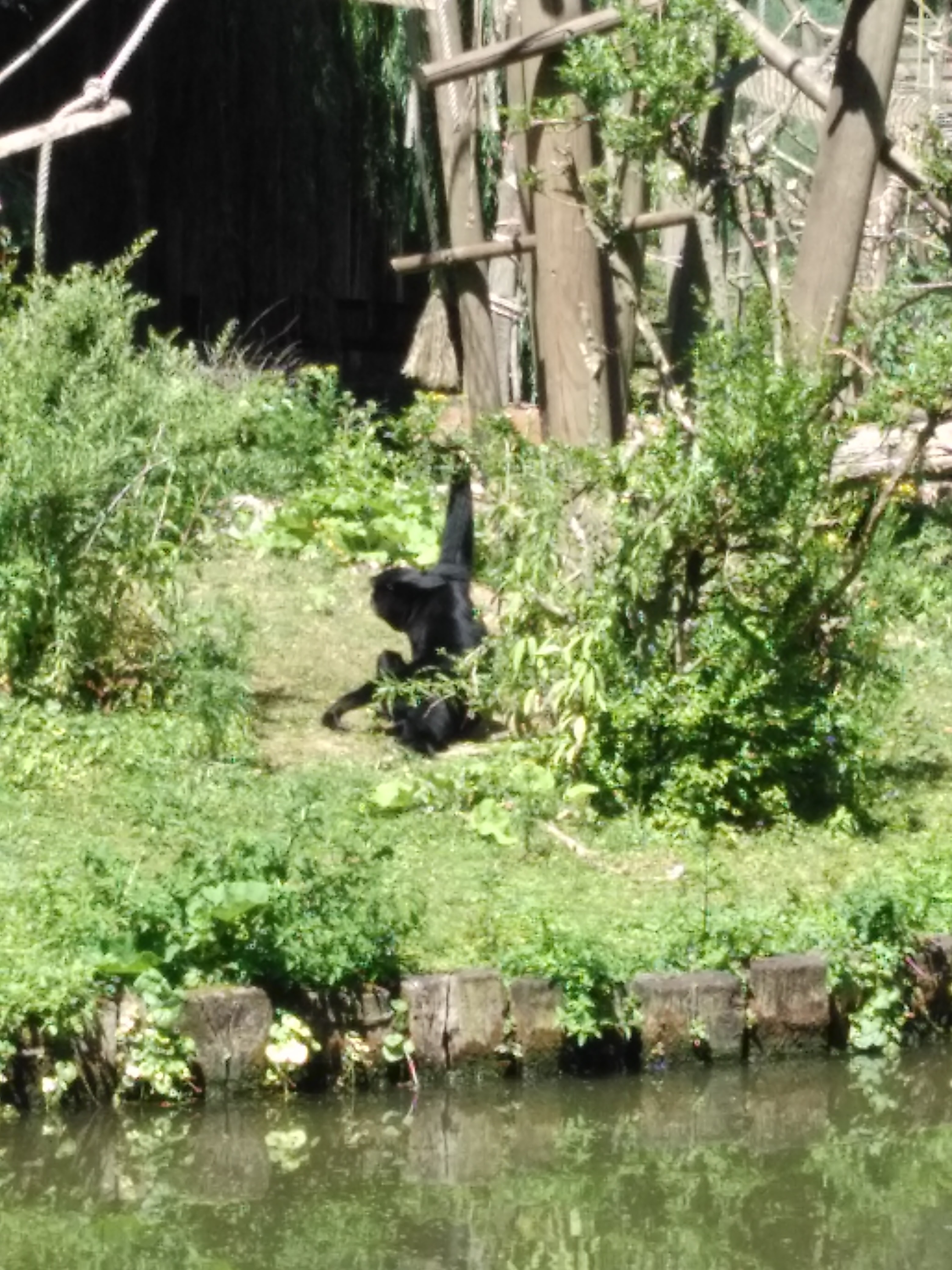 Photo n° 10 de l'avis de Alain.o fait le 26/06/2017 à 12:31