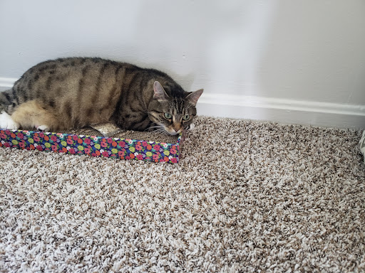 Park «Seahurst Park», reviews and photos, 1600 SW Seahurst Park Rd, Burien, WA 98166, USA