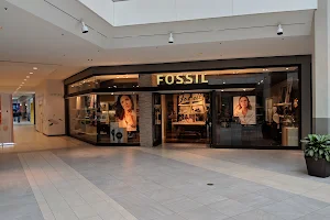 Fossil Store image