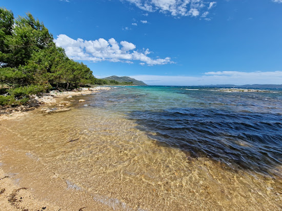 Dog Beach Ugljan