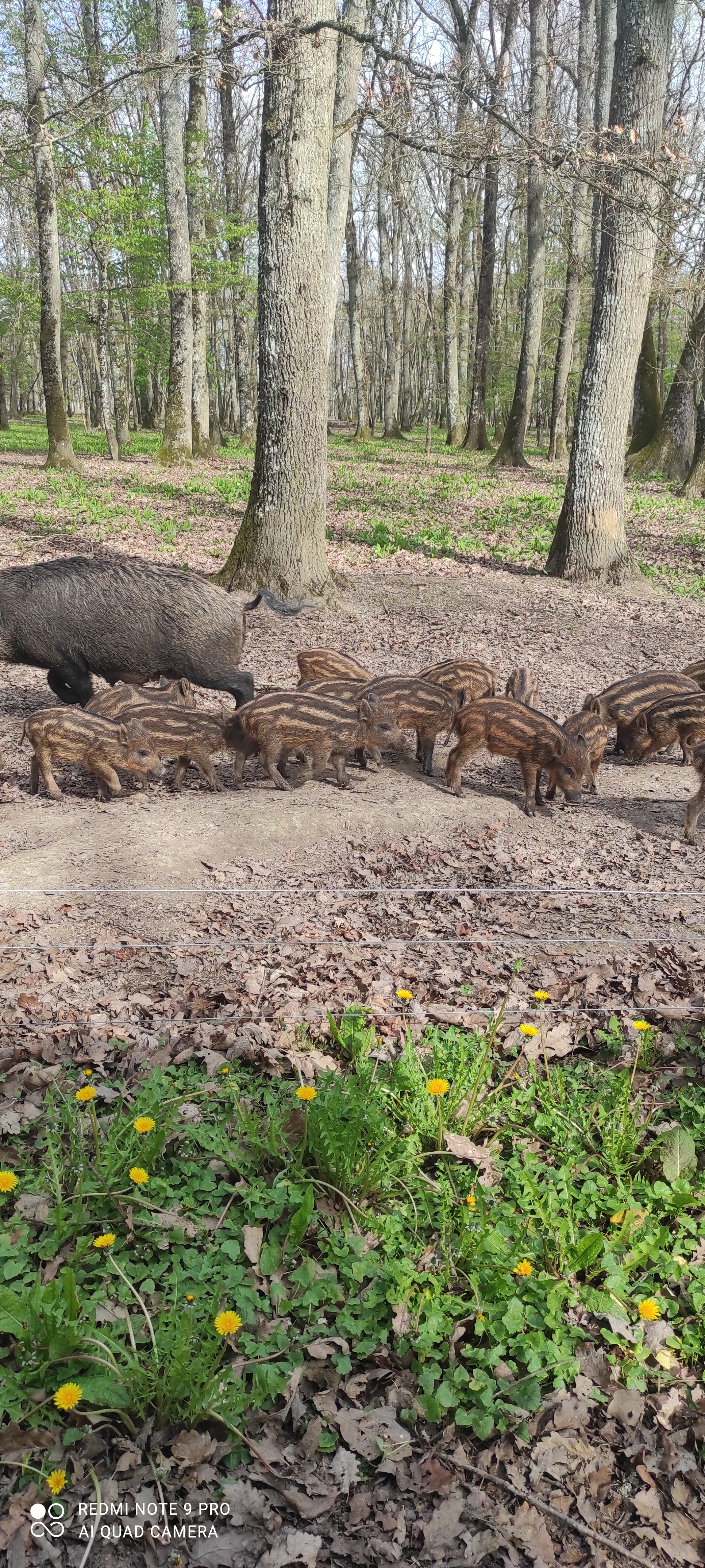 Photo n° 2 de l'avis de Magali.e fait le 13/04/2022 à 19:25