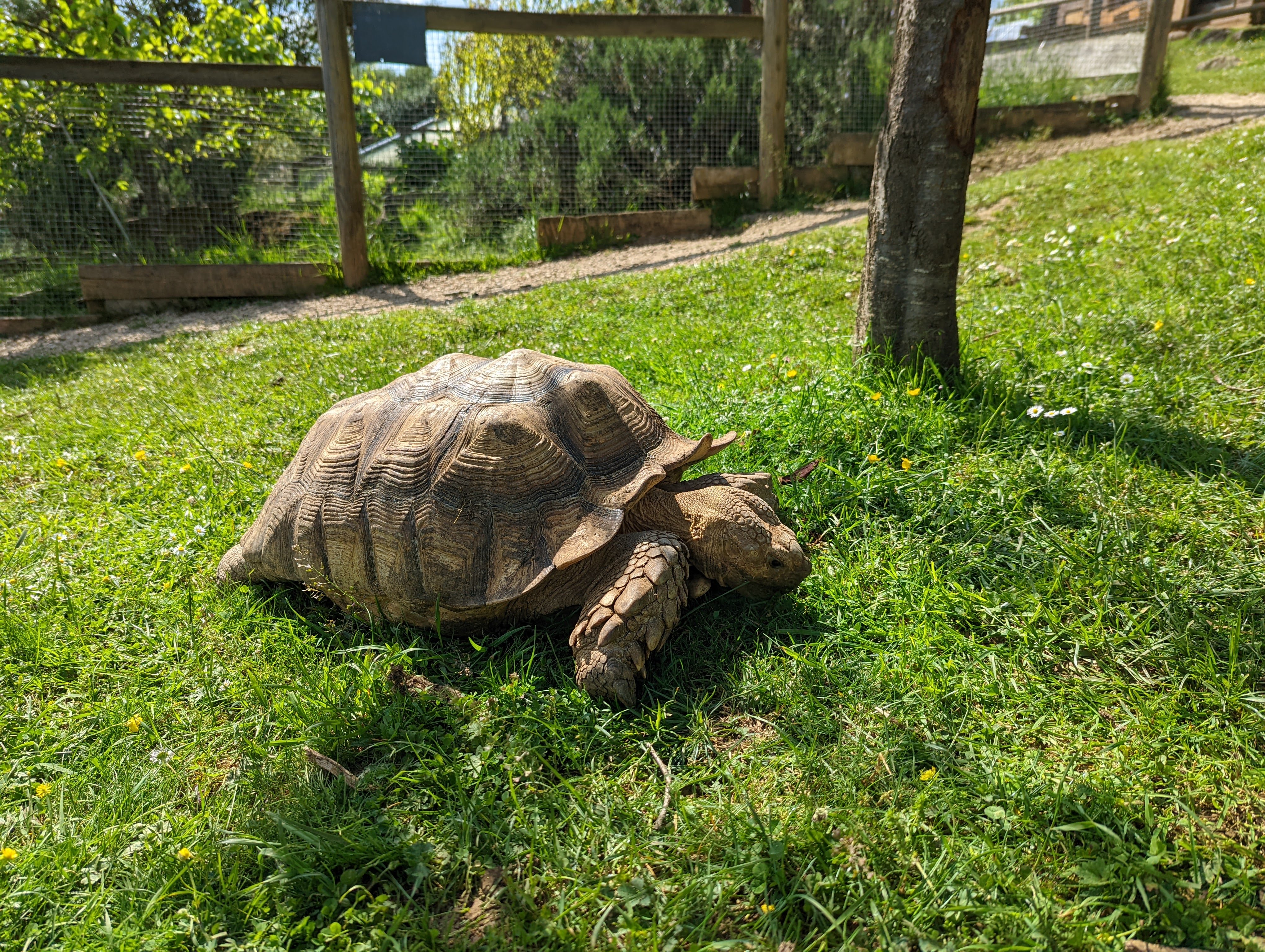 Photo n° 26 de l'avis de Mathieu.I fait le 07/05/2022 à 19:56