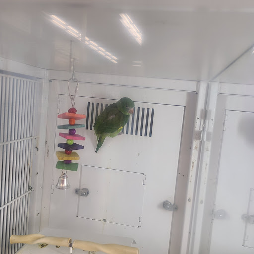 Pet Supply Store «Petco Animal Supplies», reviews and photos, 4161 N Harlem Ave, Norridge, IL 60706, USA