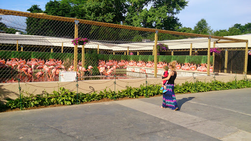 Zoo «Stone Zoo», reviews and photos, 149 Pond St, Stoneham, MA 02180, USA