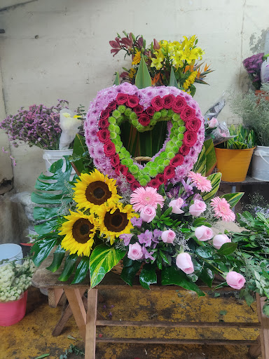 Florería Flores – Huejutla de Reyes