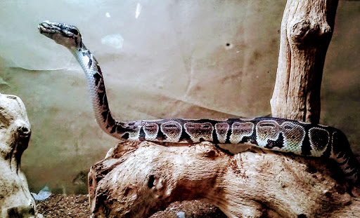 Pet Supply Store «Petco Animal Supplies», reviews and photos, 891 NE D St, Grants Pass, OR 97526, USA