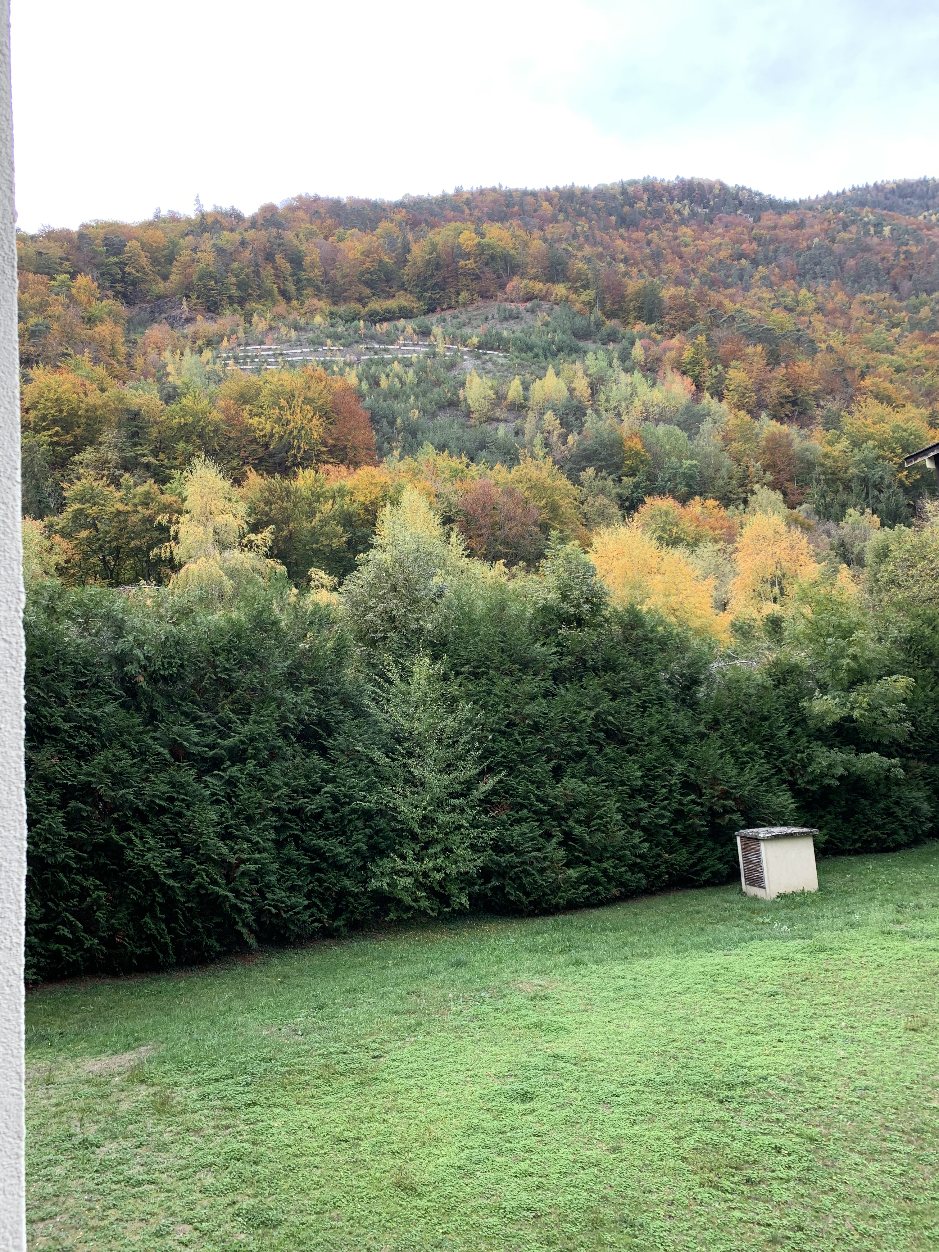 Photo n° 1 de l'avis de beata.a fait le 21/10/2022 à 10:53